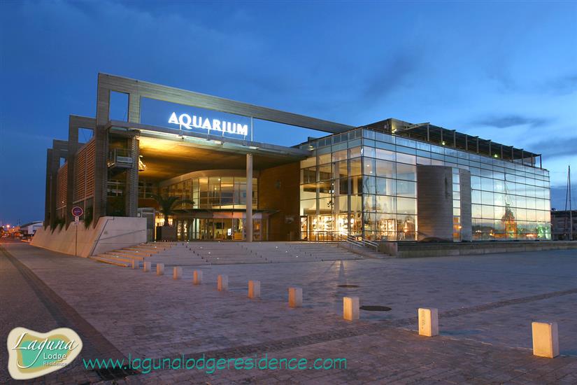 Building Aquarium La Rochelle nearby Laguna Lodge Résidence
