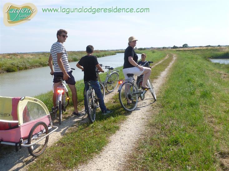 Bicycle ride La Route Touristique des Huîtres nearby Laguna Lodge Résidence on the Atlantic coast of France