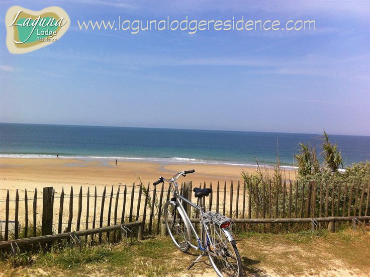 Beach accessible by bike from Laguna Lodge in France