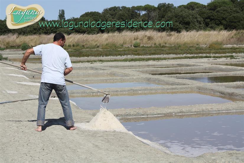 Salt manufacturer - Île de Ré - Atlantic Coast of France