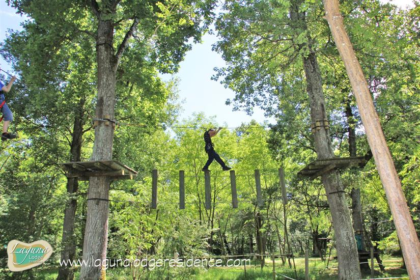 Tree climb parcours Parc Aventure La Gataudière nearby Laguna Lodge Résidence on the Atlantic coast of France