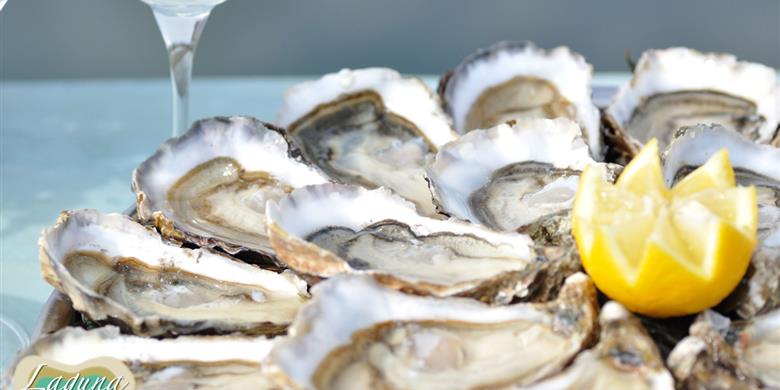 Oysters on the route touristique des huîtres nearby Laguna Lodge Résidence on the Atlantic coast of France