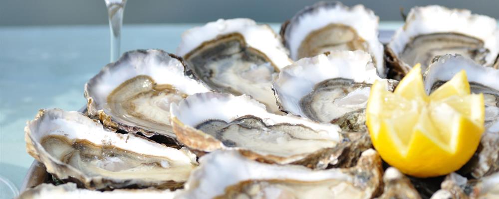 Oysters on the route touristique des huîtres nearby Laguna Lodge Résidence on the Atlantic coast of France