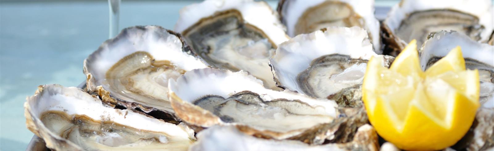 Oysters on the route touristique des huîtres nearby Laguna Lodge Résidence on the Atlantic coast of France
