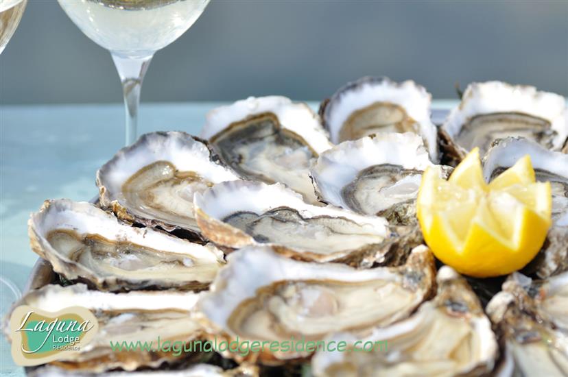 Oysters on the route touristique des huîtres nearby Laguna Lodge Résidence on the Atlantic coast of France