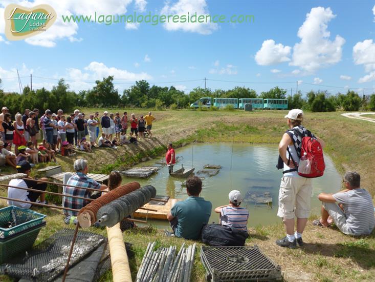 Guided visite Cité de l'Huître at Marennes nearby Laguna Lodge Résidence on the Atlantic coast of France