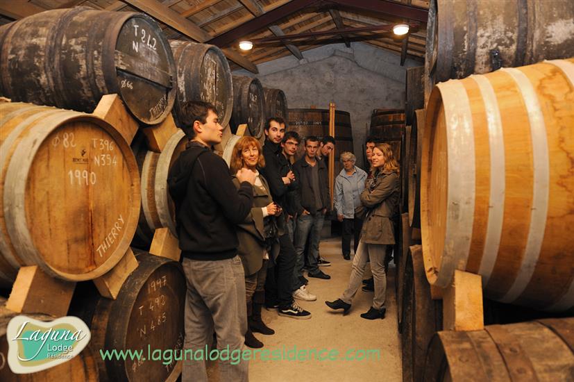 Domaines des claires Cognac and Pineau nearby Laguna Lodge Résidence on the Atlantic coast of France