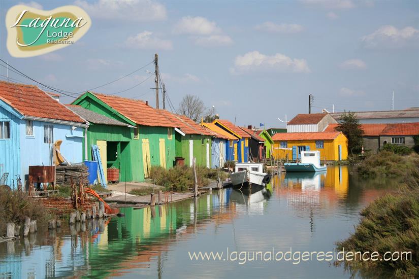 oyster-farming huts - La Château D'Oléron, Île d'Oléron, France