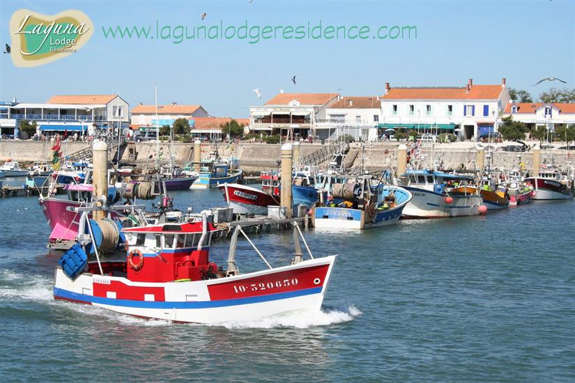 La Cotinière harbor - Île d'Oléron in France - Atlantic Coast