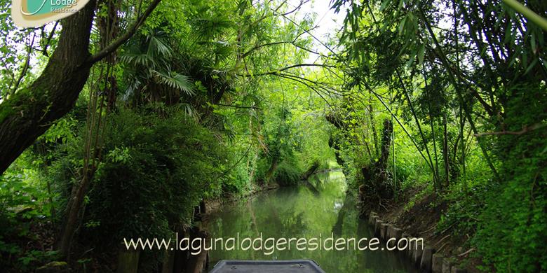Visit the Marais Poitevin - Atlantic Coast of France