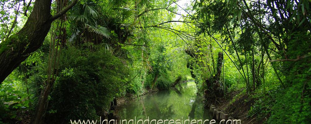 Visit the Marais Poitevin - Atlantic Coast of France