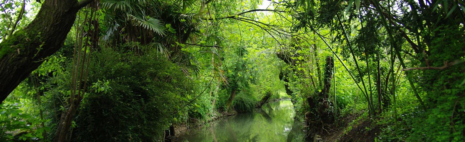 Visit the Marais Poitevin - Atlantic Coast of France