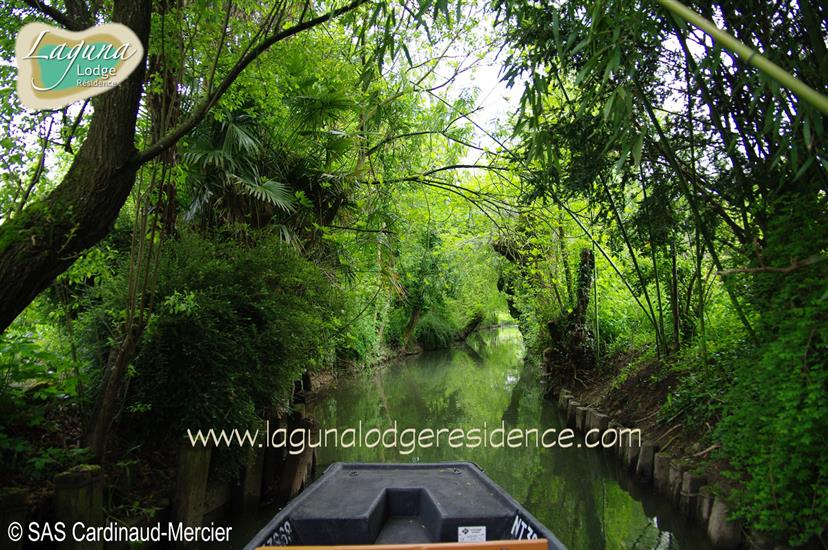 Visit the Marais Poitevin - Atlantic Coast of France