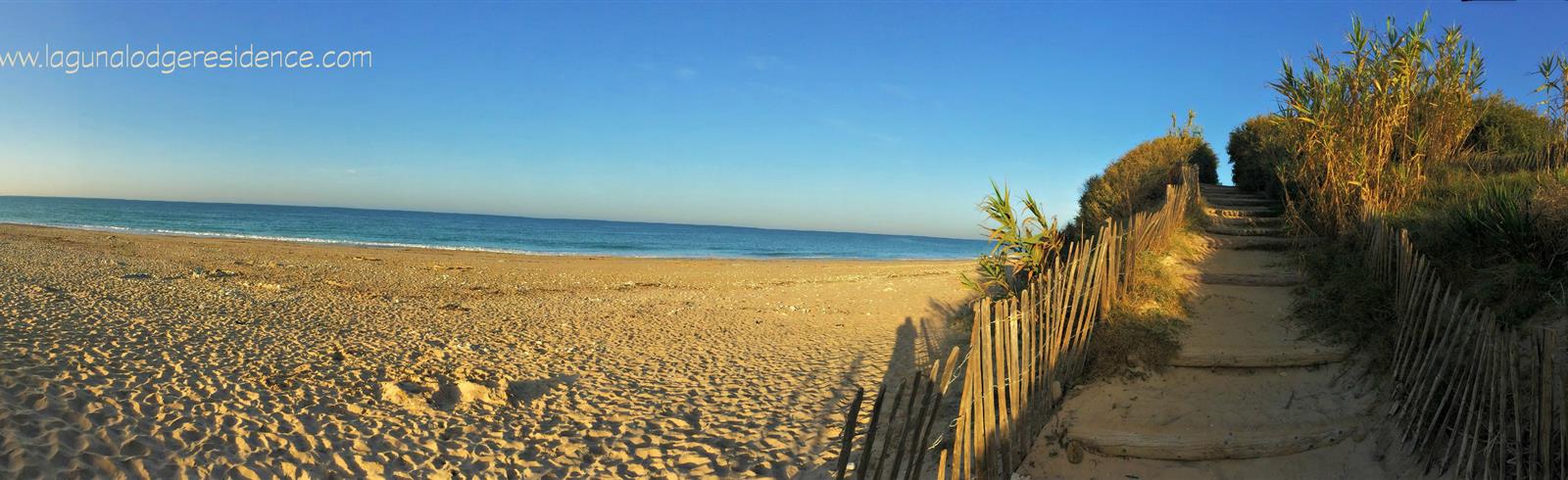 The beautiful beaches of the Atlantic coast of France