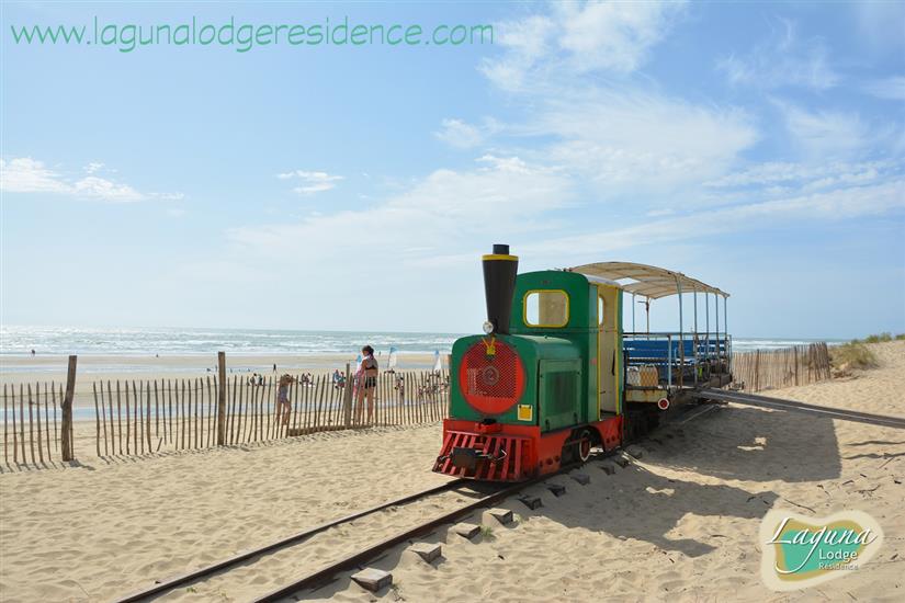 Petit train of Saint-Trojan, Île d'Oléron - France